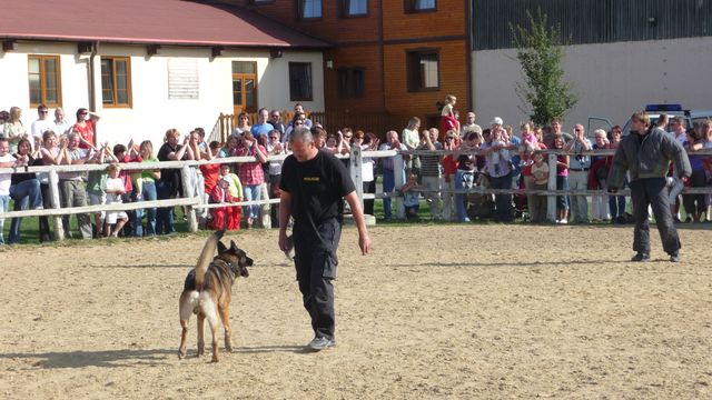 Práce policejních psovodů.JPG