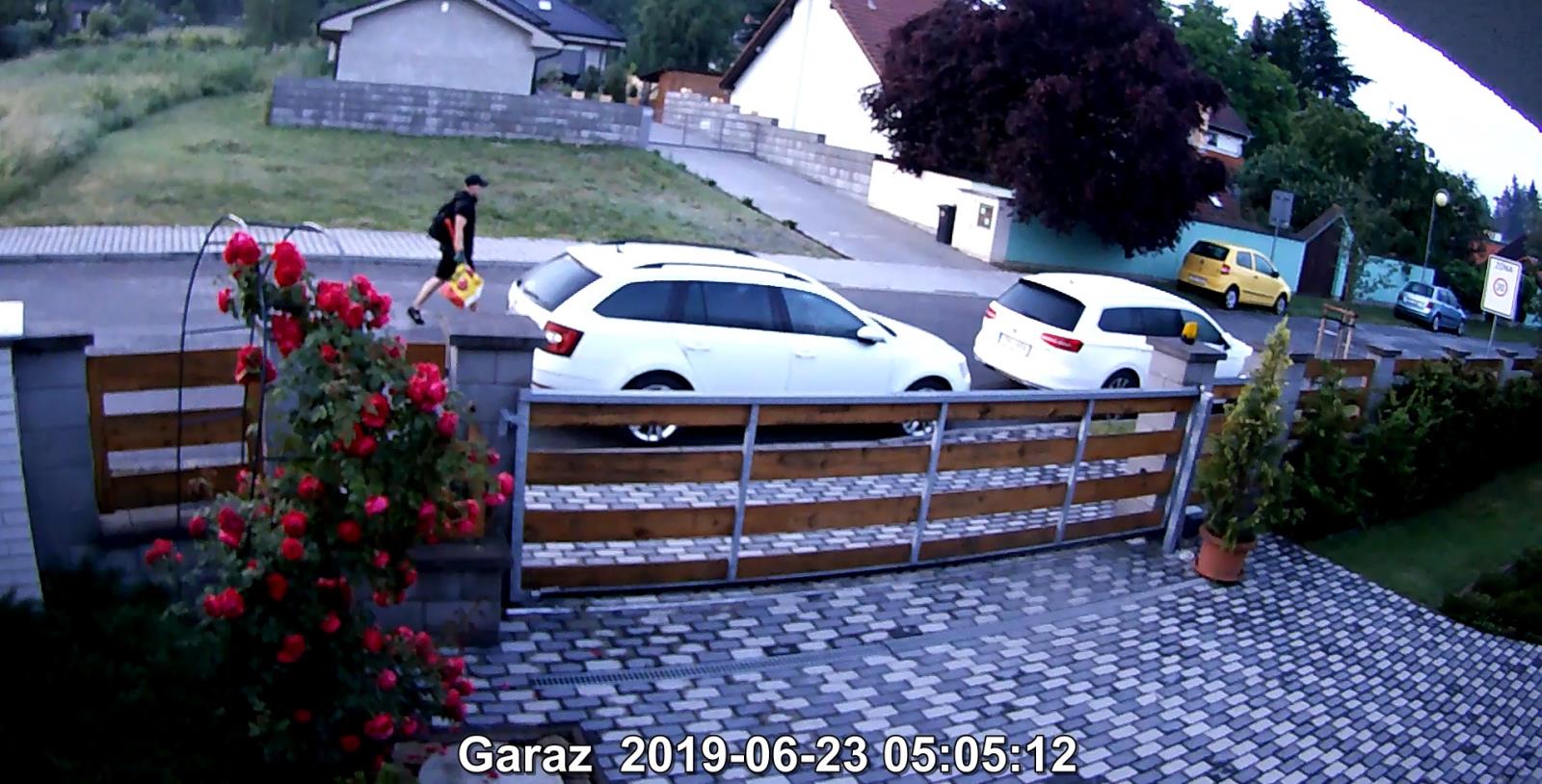 Pravděpodobný pachatel