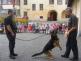 Předškoláci shlédli ukázky výcviku policejních psů