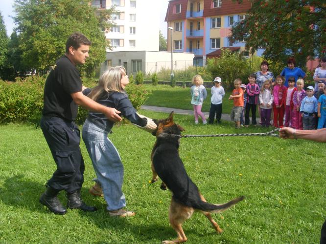 Předškoláci shlédli ukázky výcviku policejních psů.JPG