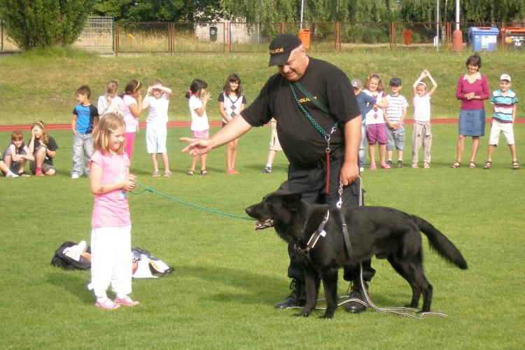 Přetahovaná se psem