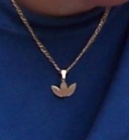 Přívěsek.JPG