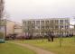 Projektové dny na ZŠ U Stadionu