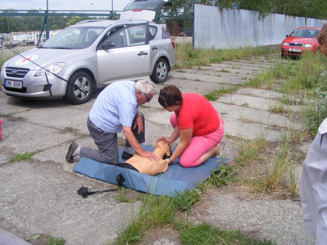 První pomoc v dopravě 6.jpg