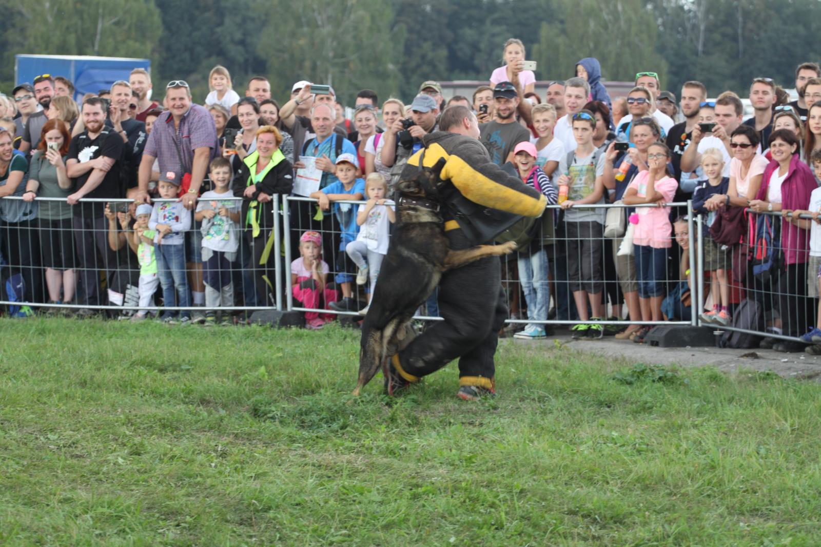 Psovodi 4.JPG