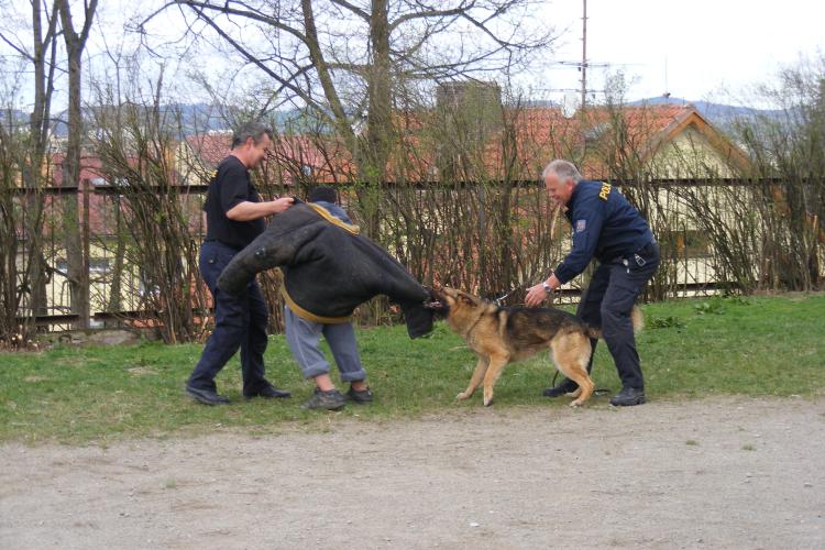 Psovodi - 8.4.2011 - Zvláštní škola 