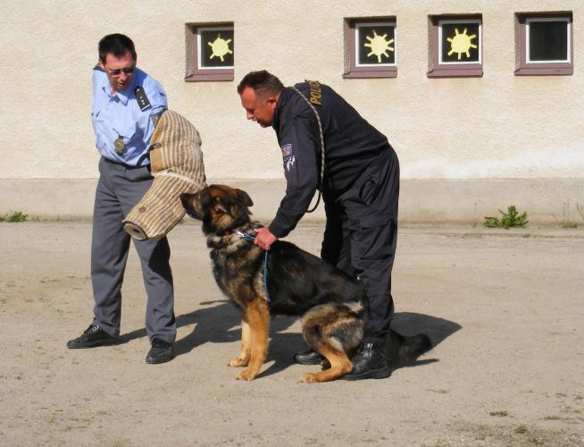 Pusť.jpg