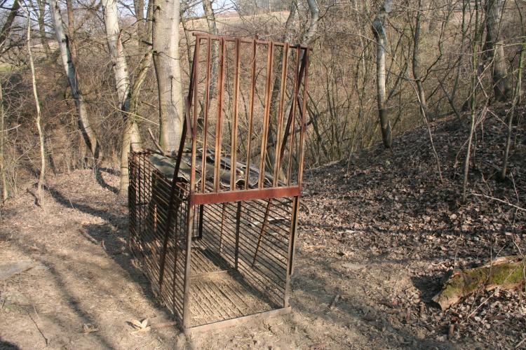 Pytláctví 3
