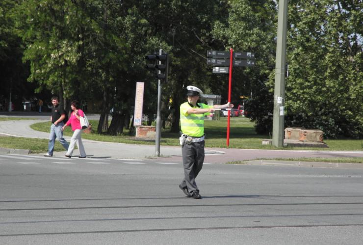Regulovčík 2012