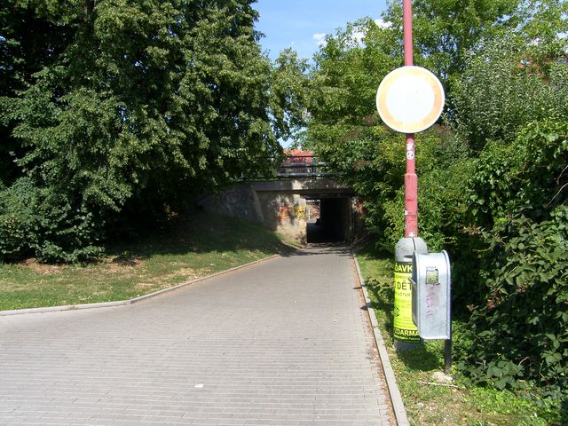 SH106269.JPG