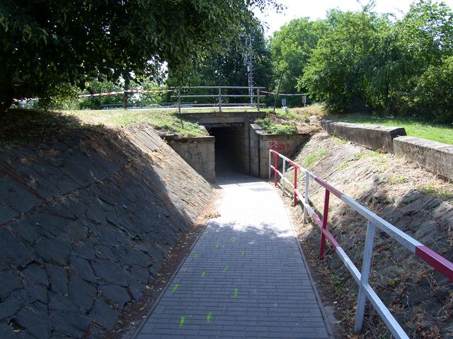 SH106271.JPG