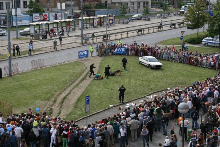 Služební kynologie