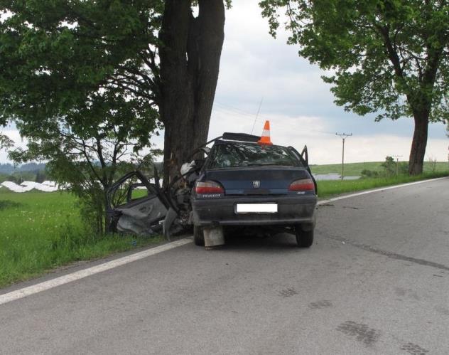 Smrtelná DN Světlík - 1 - 25.5.2015.JPG