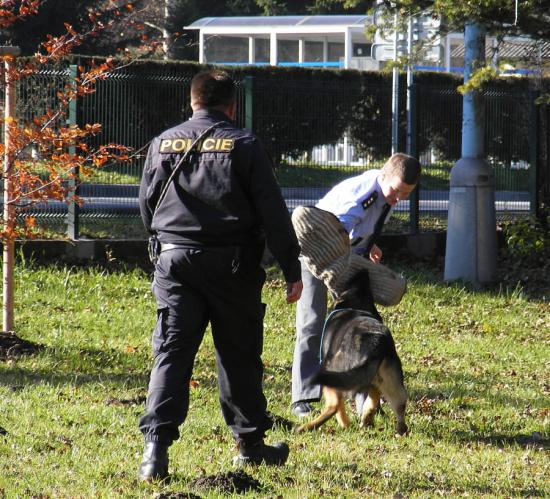 Snímek 071.jpg