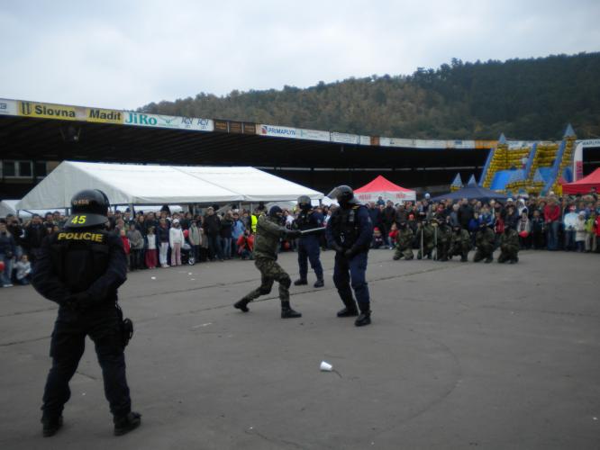 Snímek 096.JPG