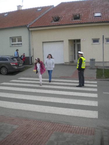Snímek 135.jpg