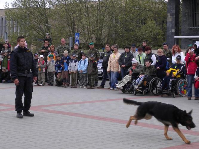 Snímek 6.jpg