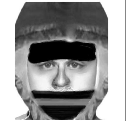 Sokolov identikit
