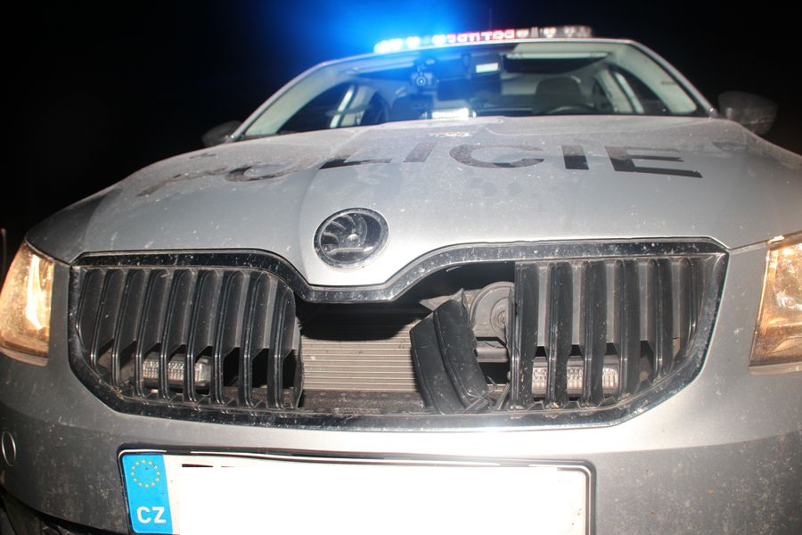 Srnka x policisté