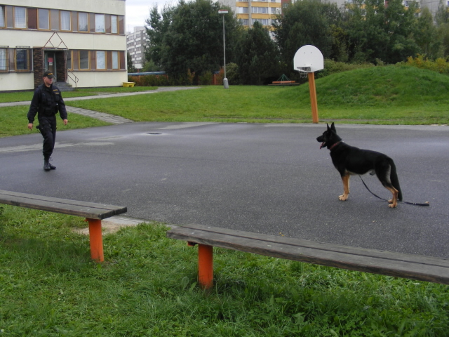 Start - ZŠ Helsinská 2010 - 03.jpg