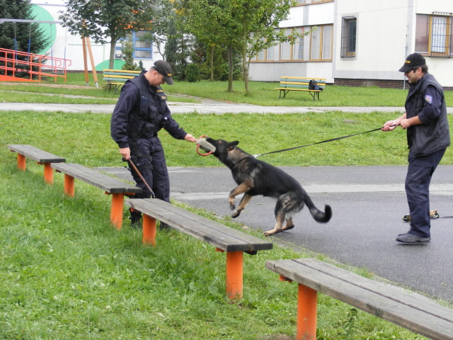 Start - ZŠ Helsinská 2010 - 05.jpg