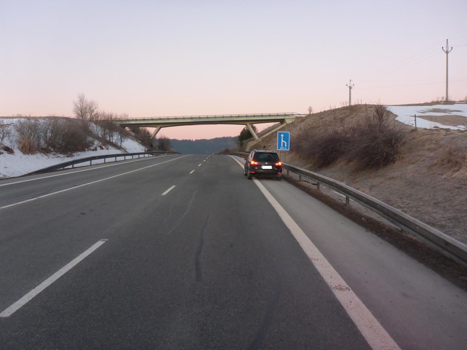 Střet s vlkem