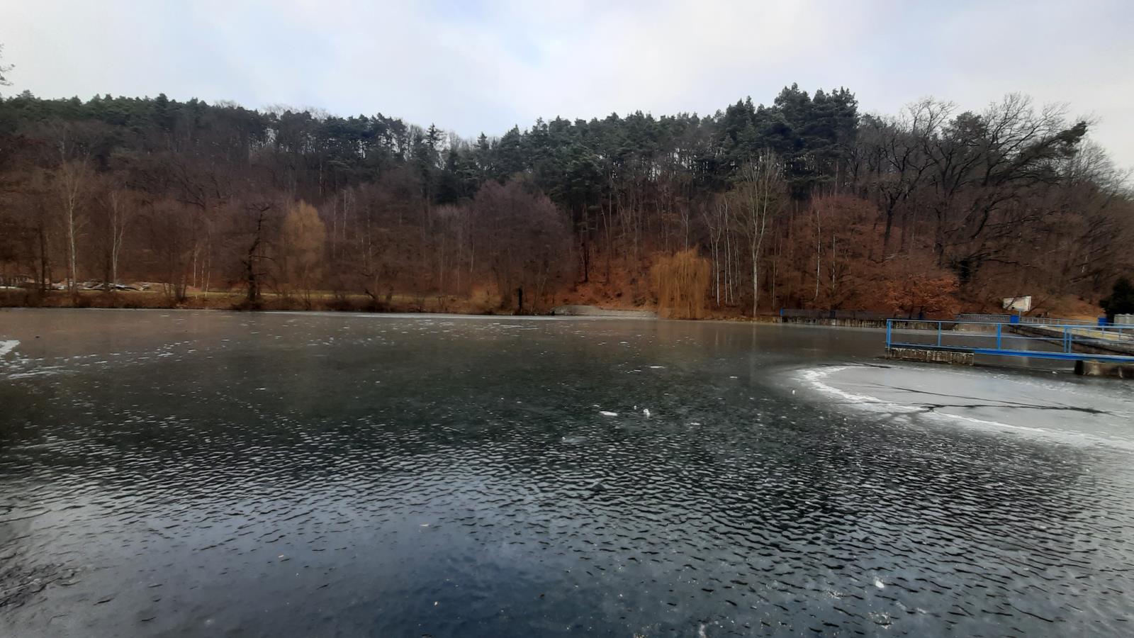 Terezínský rybník