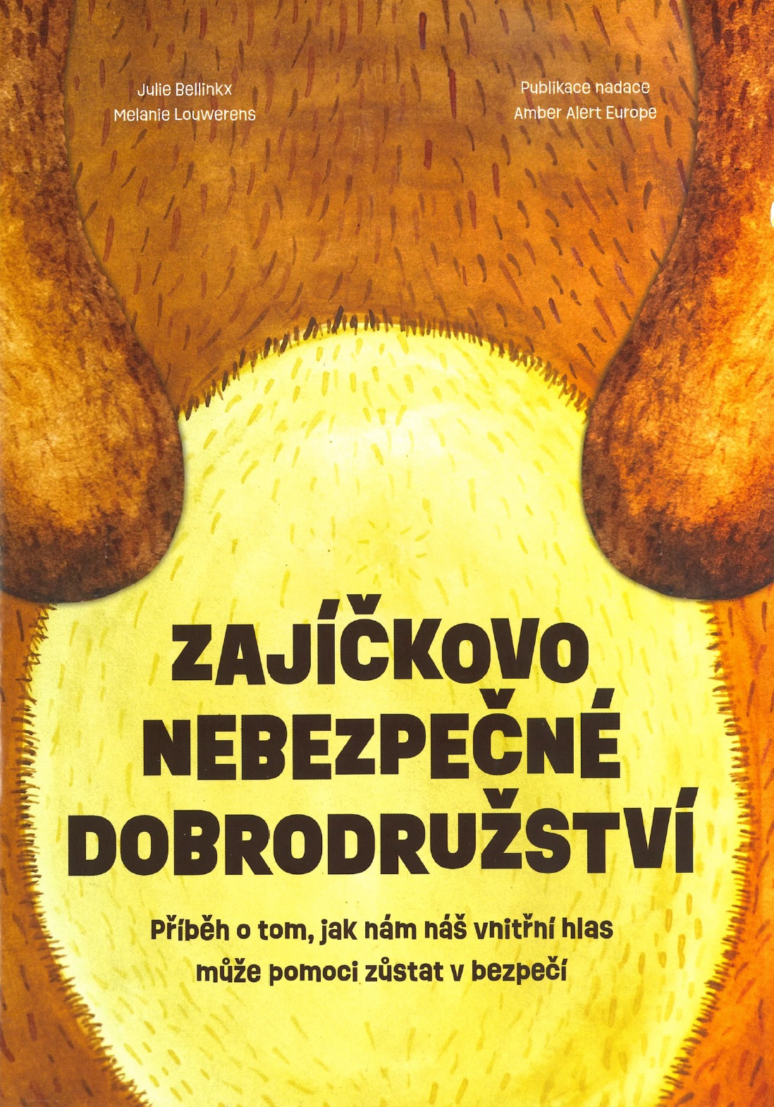 Titulní strana publikace.jpg