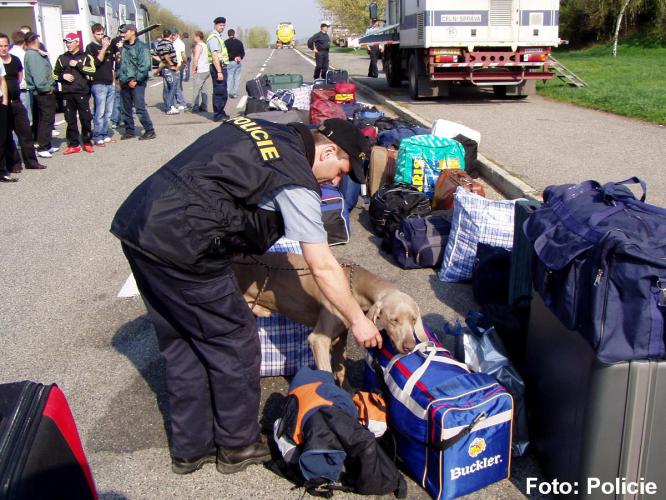 Trasa 14.JPG