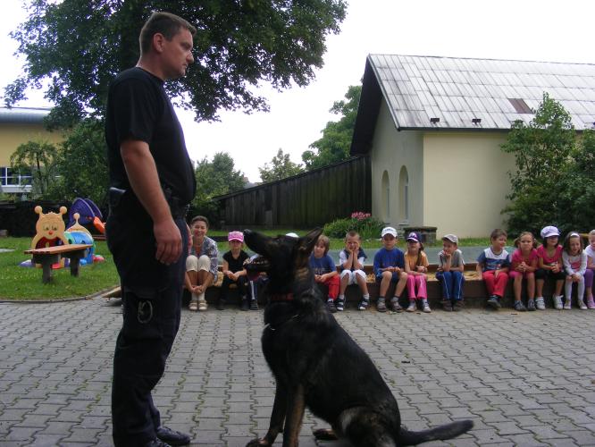 Ukázka práce čtyřnohých ochránců zákona  .jpg