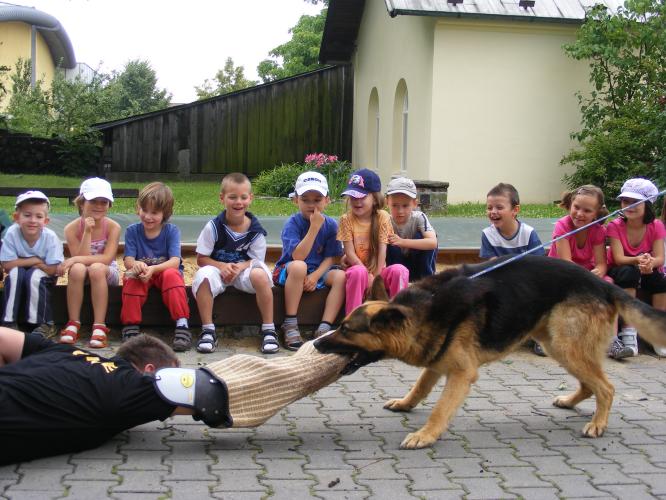 Ukázka práce čtyřnohých ochránců zákona  .jpg