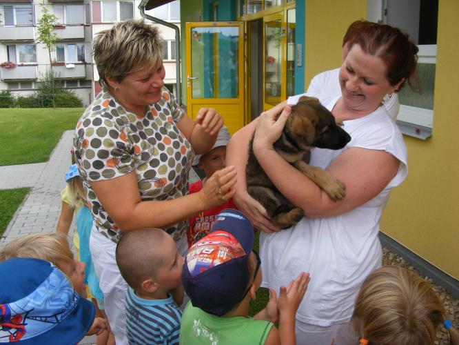 Ukázka práce čtyřnohých ochránců zákona  .jpg