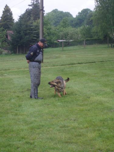 Ukázka práce policejních psů