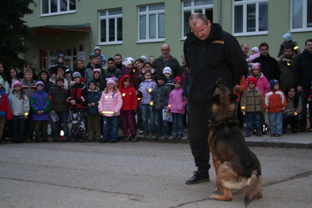 Ukázka práce policejních psů.jpg