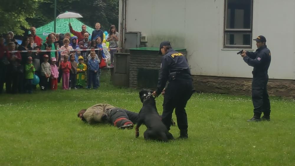 Ukázka výcviku služebních psů