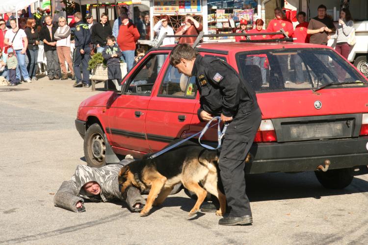 Ukázka z práce policie.jpg