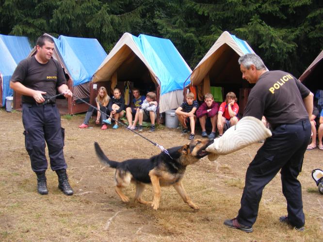 Ukázky práce jindřichohradecké policie  na LDT Osika .jpg