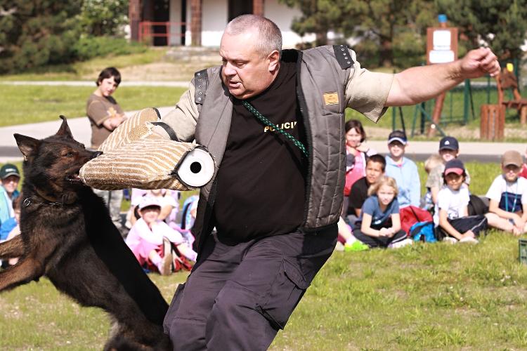 Umí se i zakousnout