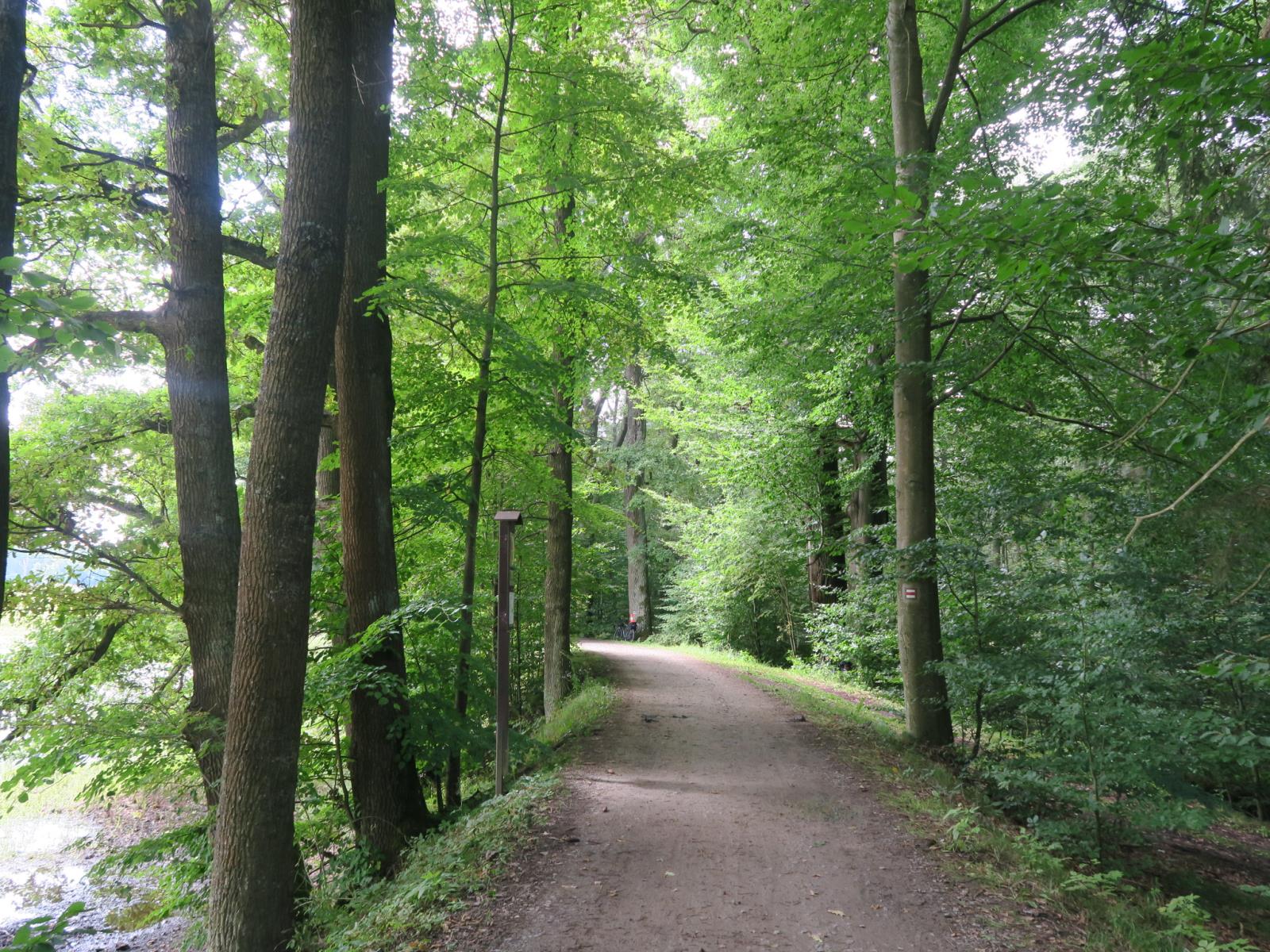 Úmrtí cyklisty na elektrokole