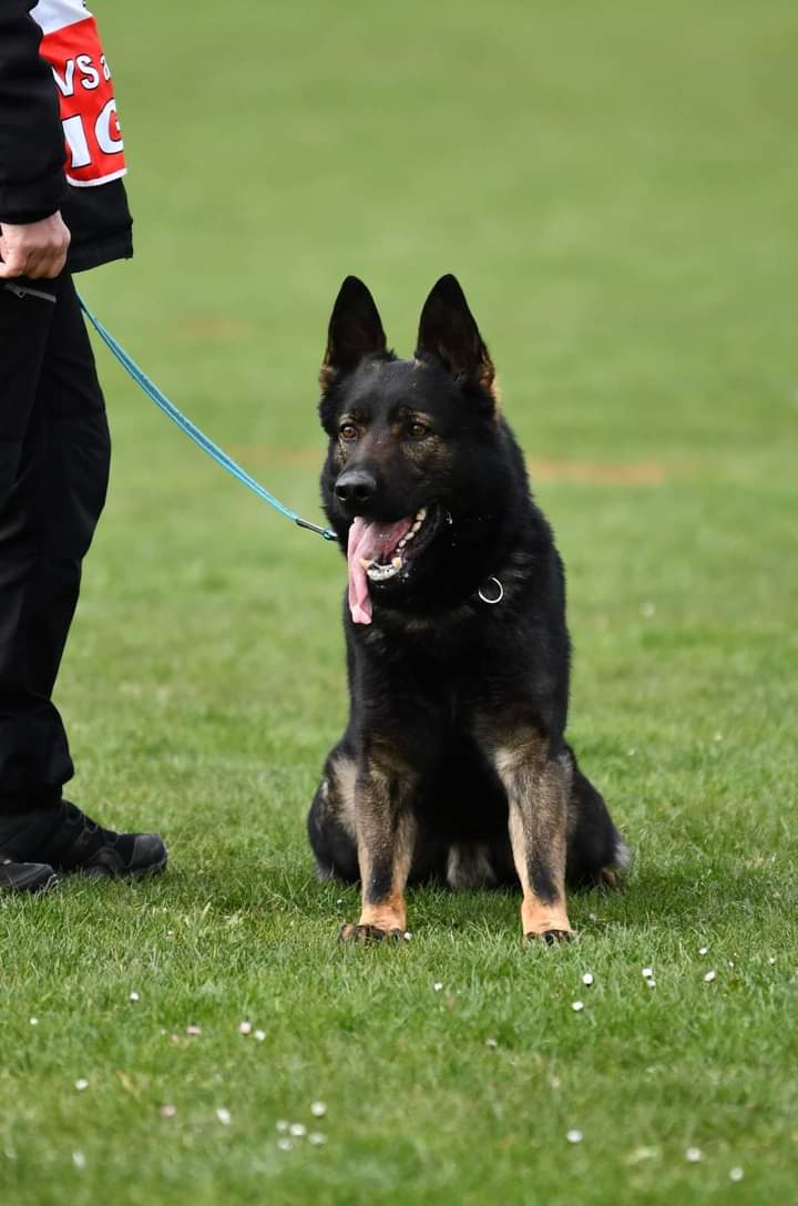 Úspěšný výkon policistky se psem Kubou