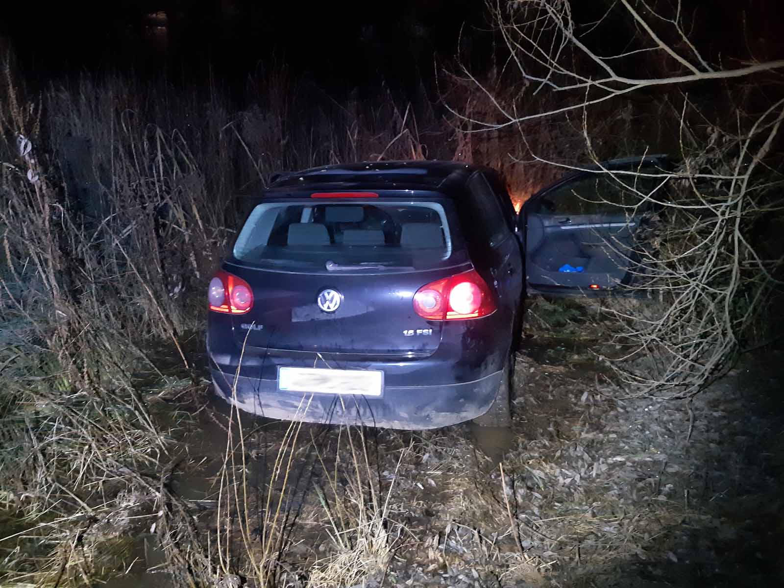 VW_1.jpg