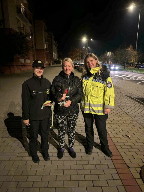 Viditelnost podzim 2024