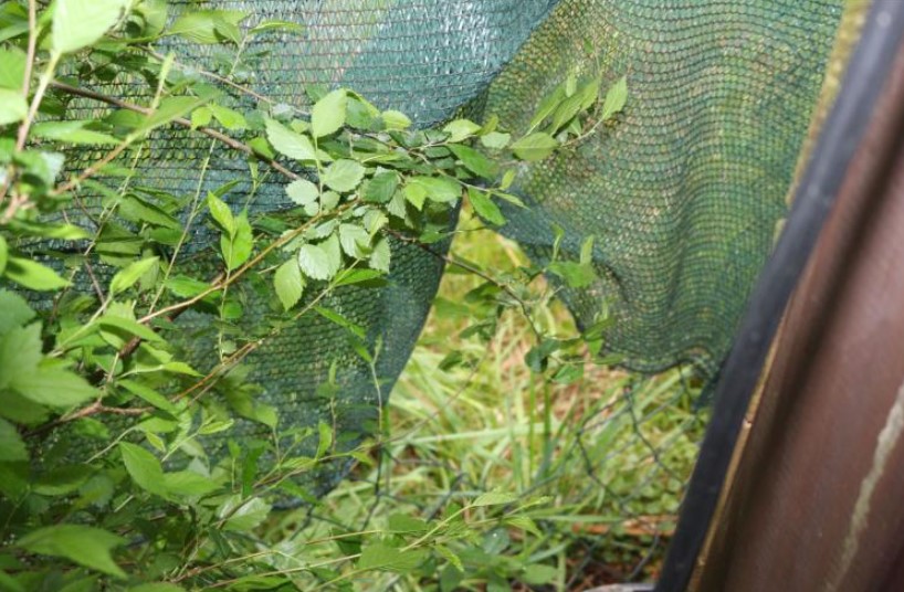 Vloupání do rodinného domu 1.jpg