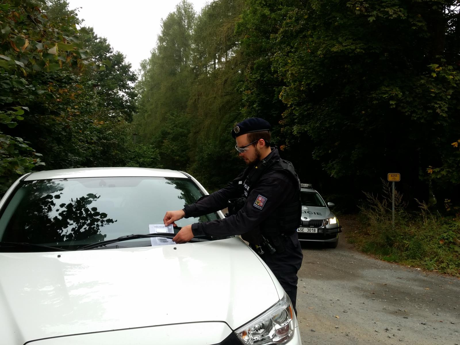 Vozidla pod policejním dohledem