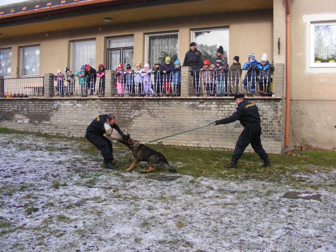 Výcvik - pachatel zadržen služební psem