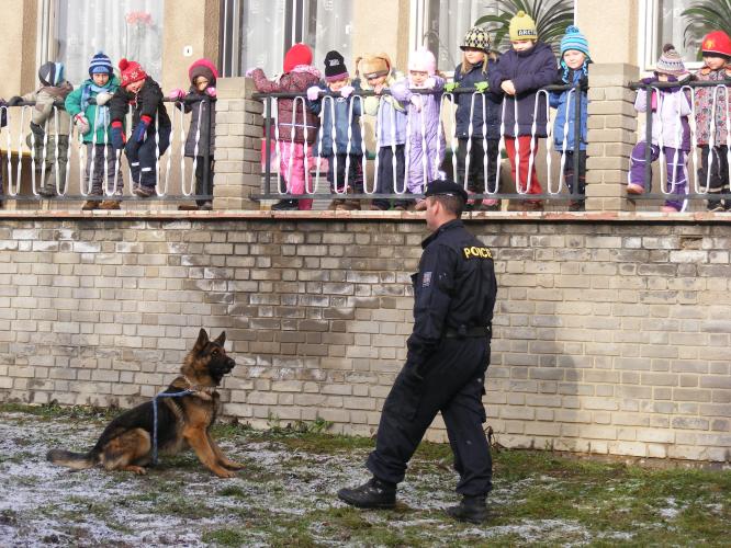 Výcvik - poslušnost služebního psa