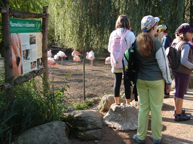ZOO