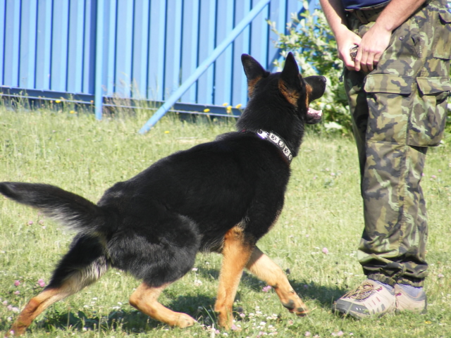 ZŠ Čekanice na ÚO PČR Tábor - 26. 5. 2011 - 05.jpg