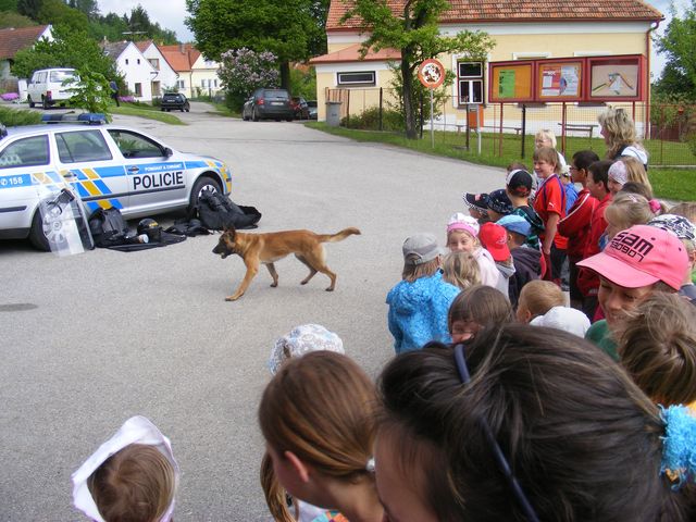 ZŠ a MŠ Zubčice 4.JPG