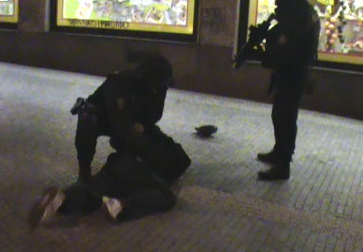 Zadržení pachatele.jpg